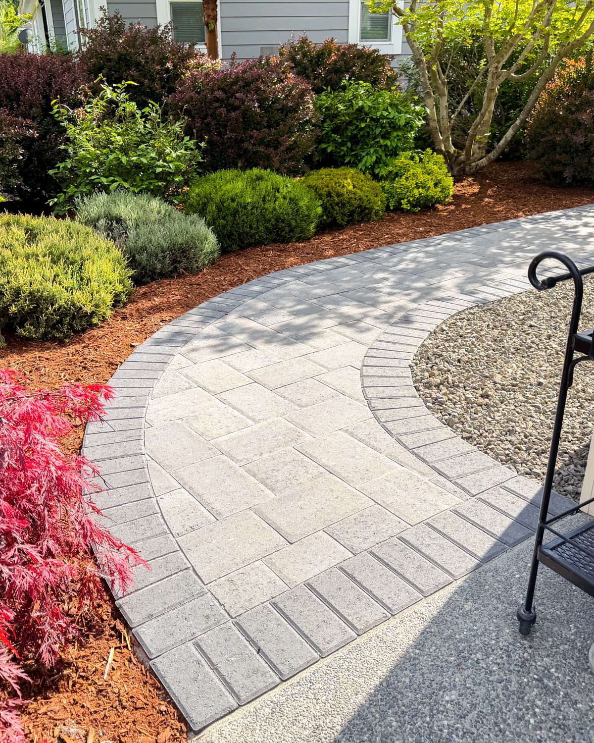 Curved gray paver walkway through mulched garden beds with a red Japanese maple